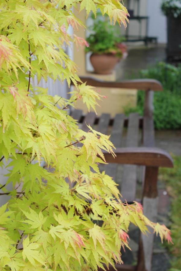 Le Chemin Du Village Croth ภายนอก รูปภาพ